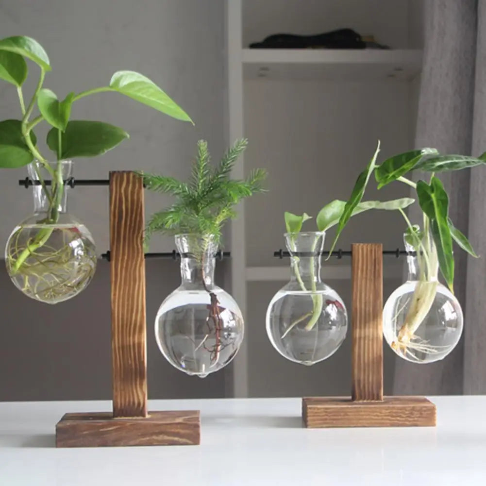 Plant Terrarium with Wooden Stand Bonsai Flower Pot Plant Propagation Station for Home Office Decoration Plant Lover Gifts