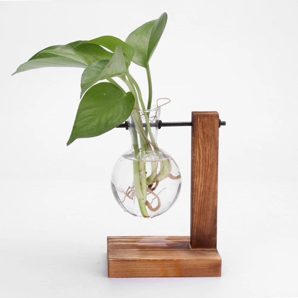 Plant Terrarium with Wooden Stand Bonsai Flower Pot Plant Propagation Station for Home Office Decoration Plant Lover Gifts