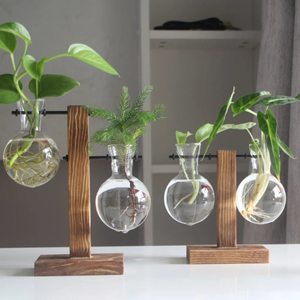 Plant Terrarium with Wooden Stand Bonsai Flower Pot Plant Propagation Station for Home Office Decoration Plant Lover Gifts