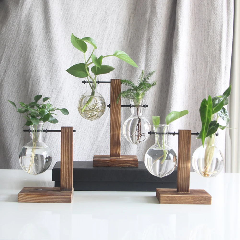 Plant Terrarium with Wooden Stand Bonsai Flower Pot Plant Propagation Station for Home Office Decoration Plant Lover Gifts